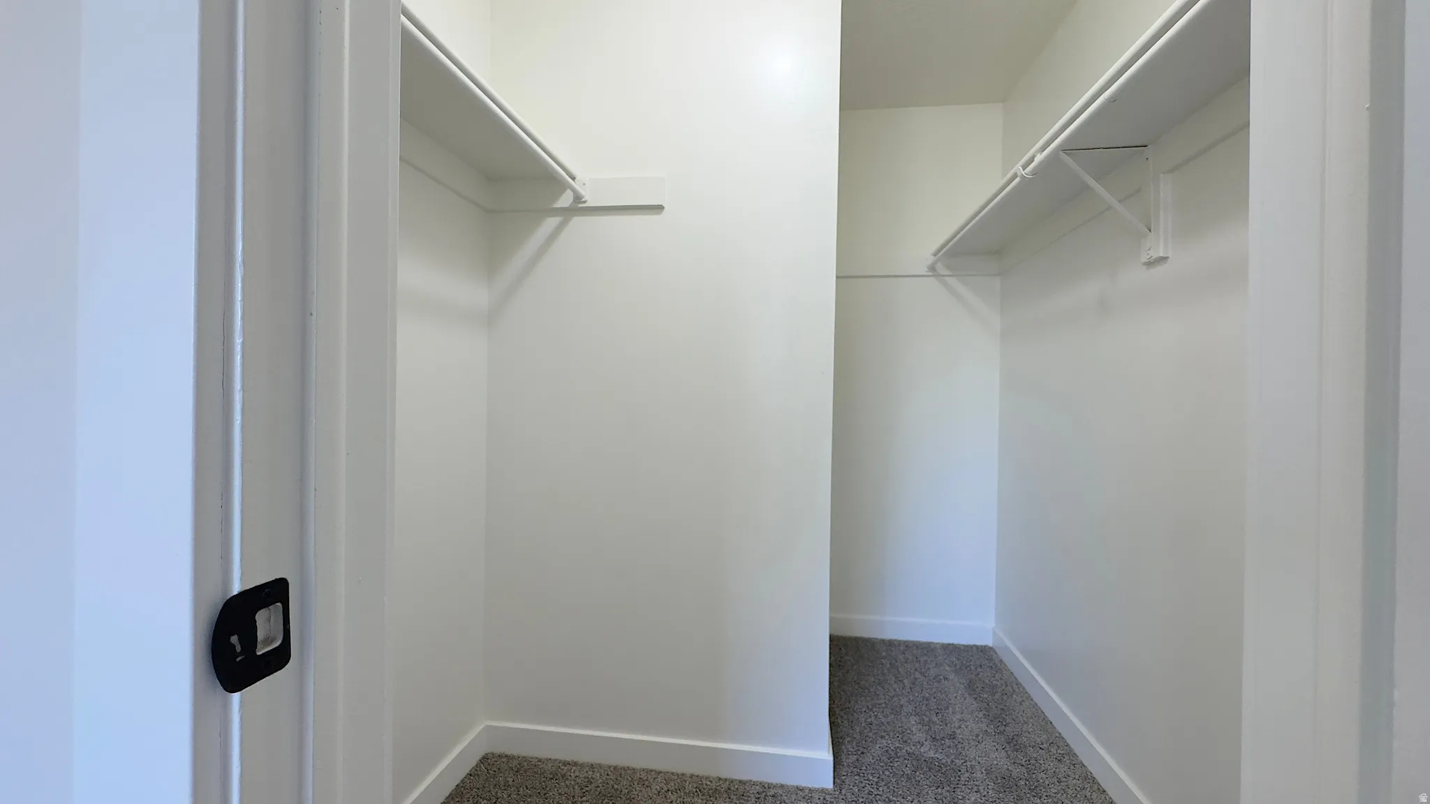 Primary Walk-in closet featuring white walls, white baseboards, and neutral carpeting.