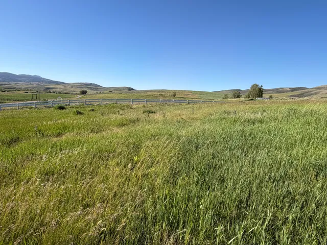 1232 Sharon Loop, Montpelier, Idaho 83254