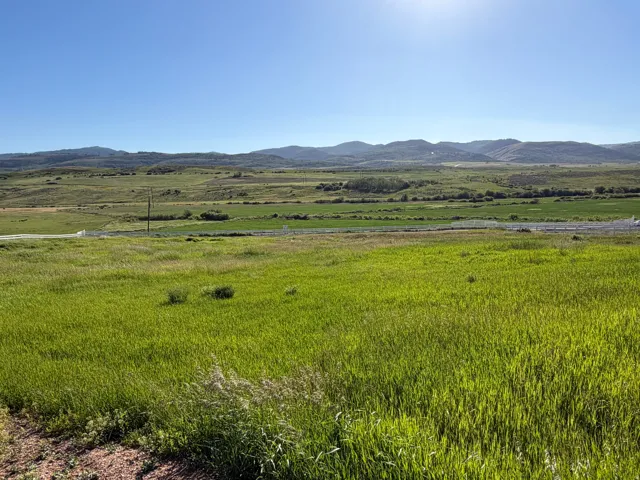 1232 Sharon Loop, Montpelier, Idaho 83254