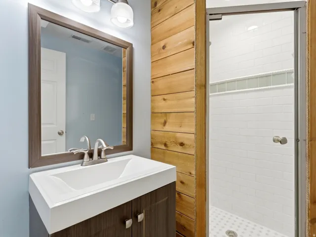 Lower level 3/4 bathroom