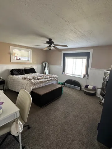 Carpeted room featuring a ceiling fan, two windows with white trim, and wainscoting