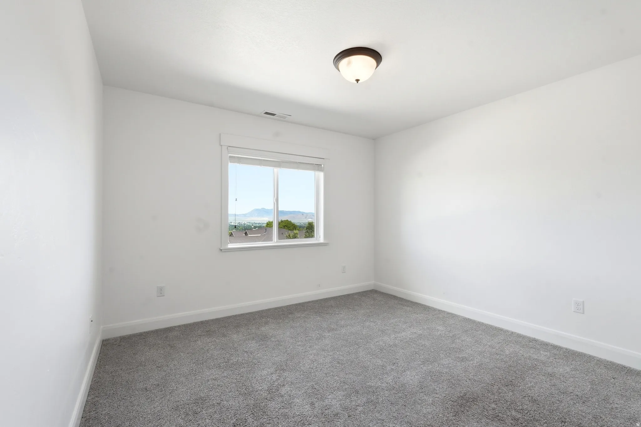 Bright room featuring neutral gray carpeting and white painted walls