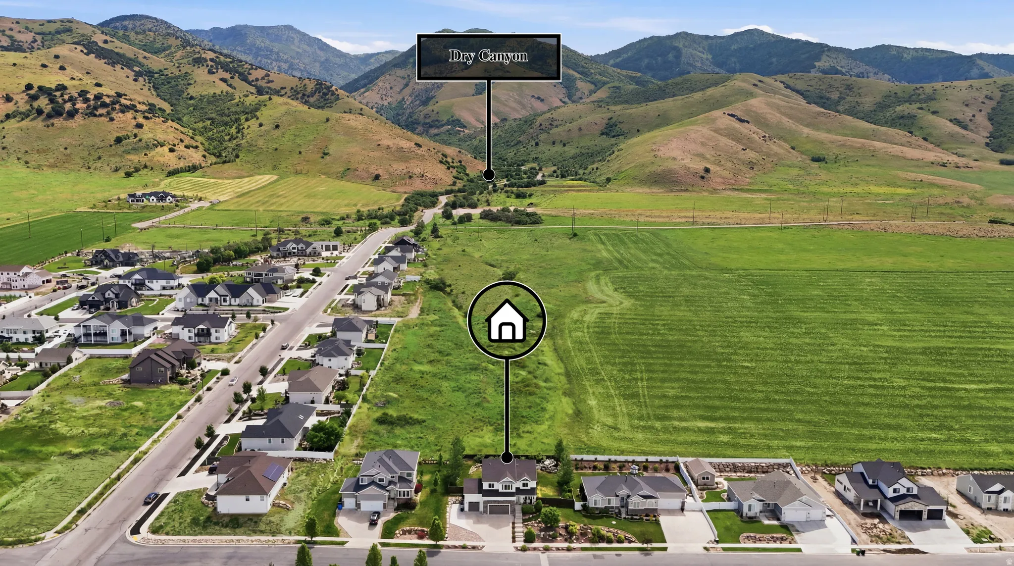 Aerial perspective showcasing a residential street with properties, expansive green fields, and distant mountains