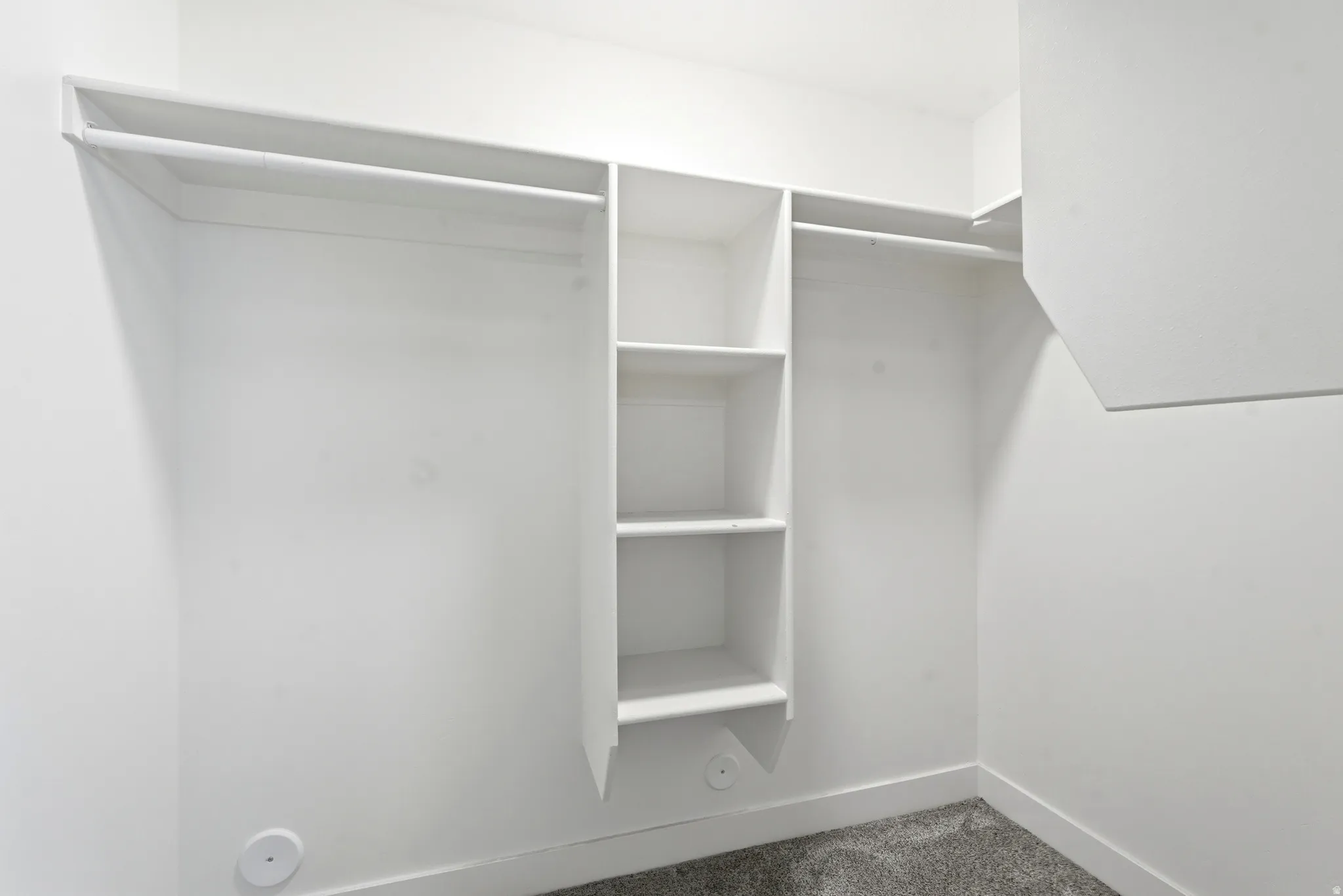 Walk-in closet featuring built-in shelving, dual hanging rods, and a neutral carpeted floor