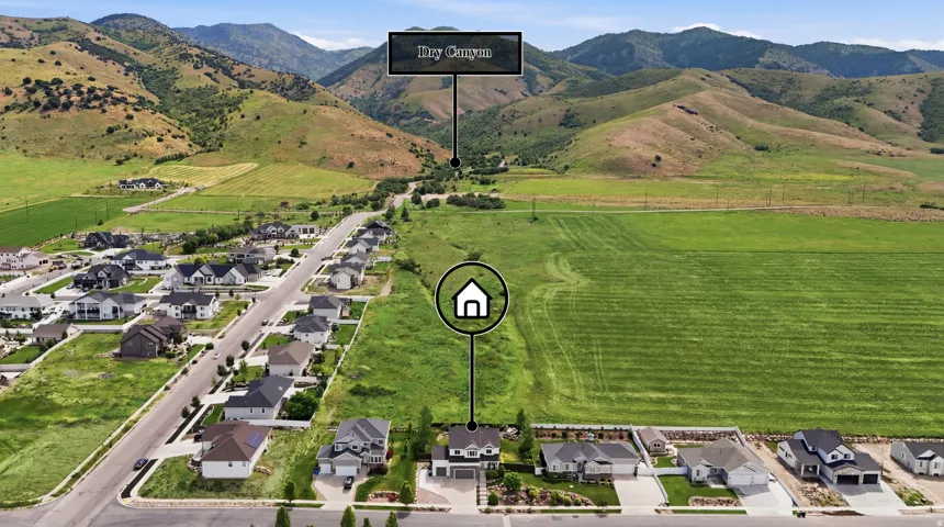 Aerial perspective showcasing a residential street with properties, expansive green fields, and distant mountains