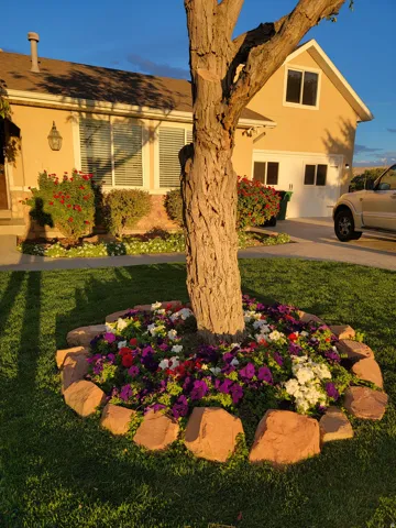 Lush front yard featuring a manicured lawn and a mature tree with a stone-edged flower bed