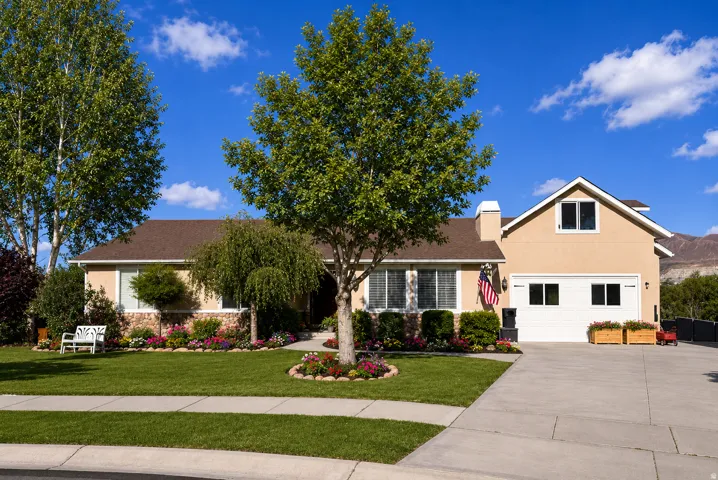 Traditional-style property featuring a stucco and stone facade, mature landscaping, a concrete driveway, and a front walkway