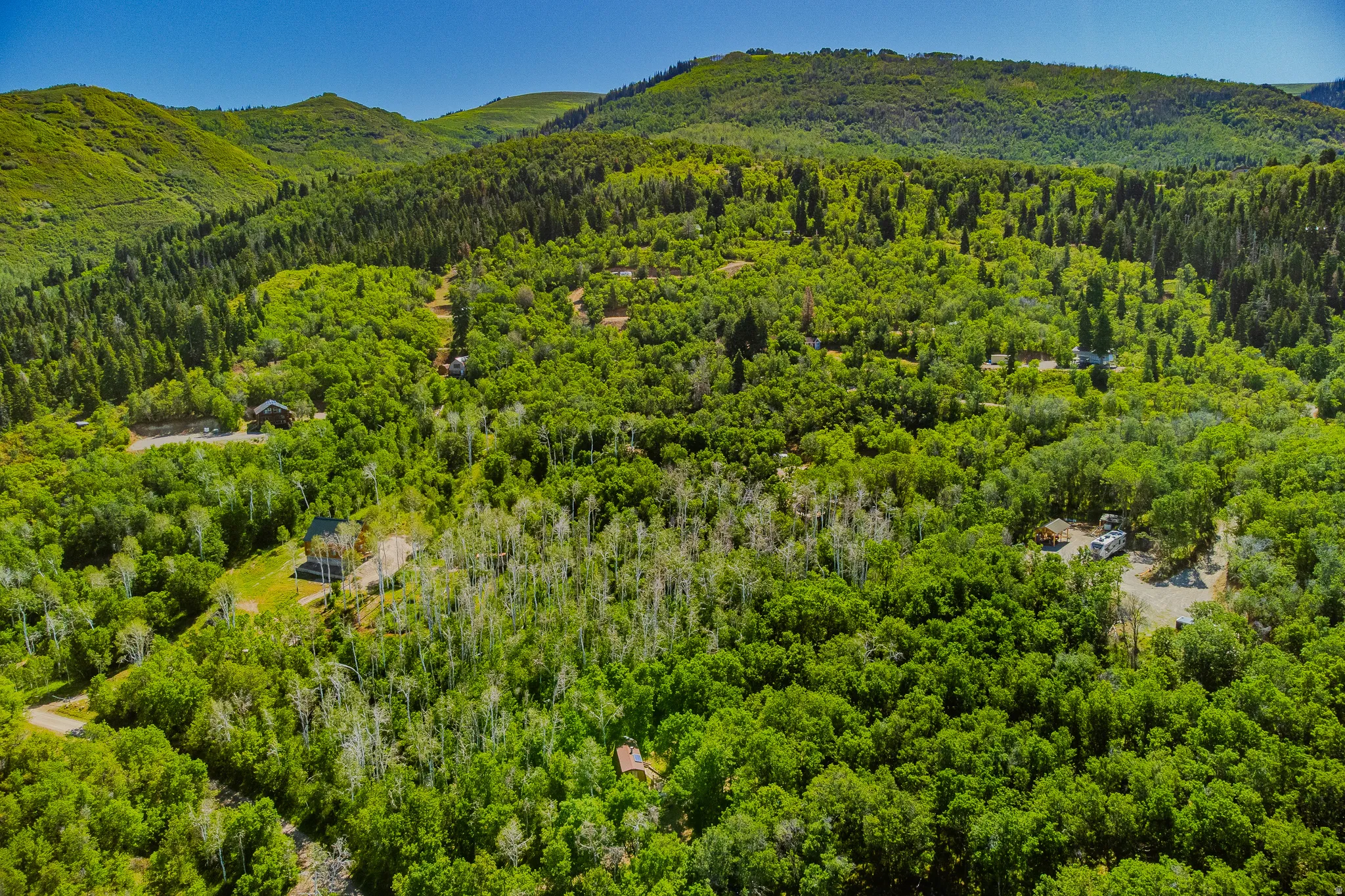 Extensive acreage featuring dense, mature tree coverage and verdant mountainous terrain