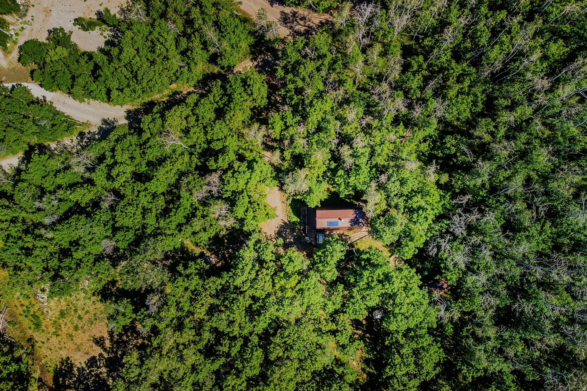 Compact dwelling featuring a brown roof and a solar panel, nestled within a dense canopy of trees