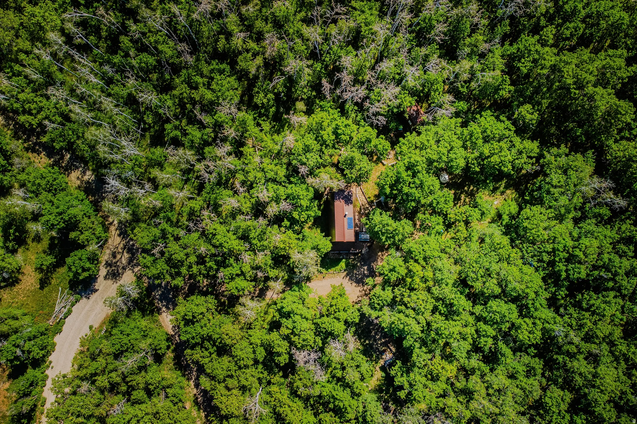 Secluded residence surrounded by extensive mature trees