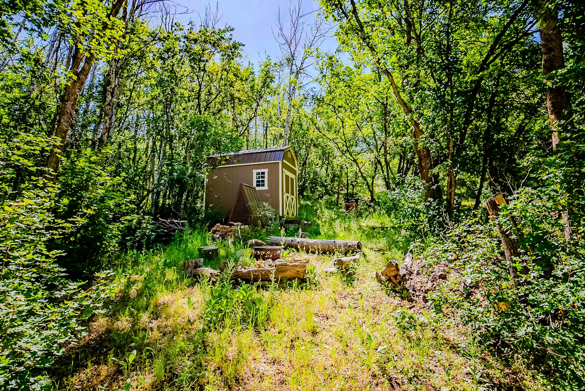 Wooded lot featuring a brown shed with a white window frame and metal roof, surrounded by mature trees and natural ground cover