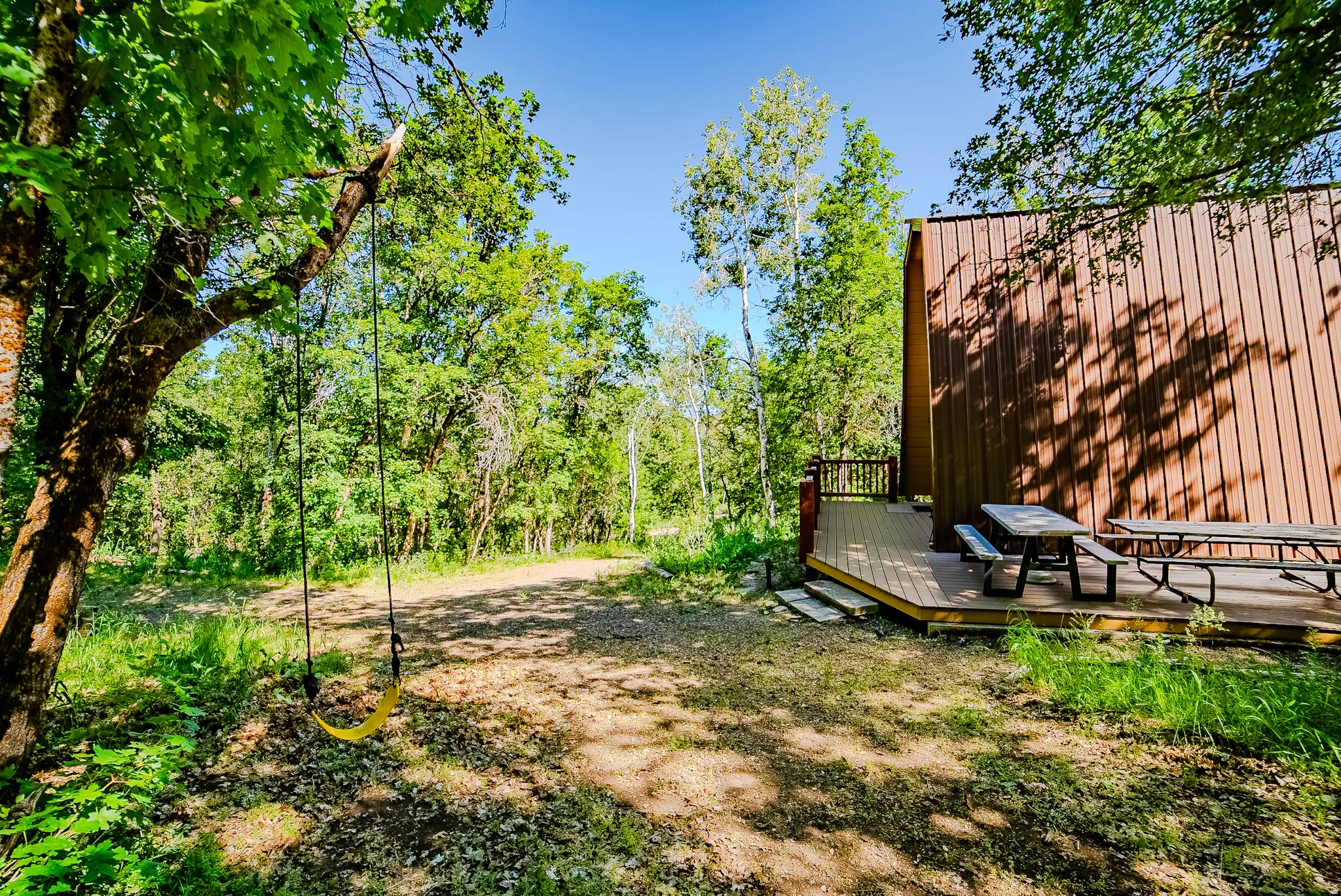 Wood-sided structure featuring an exterior deck with a railing, surrounded by mature trees and natural landscaping