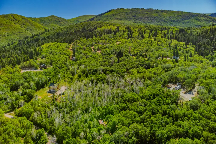 Extensive acreage featuring dense, mature tree coverage and verdant mountainous terrain