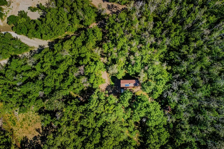 Compact dwelling featuring a brown roof and a solar panel, nestled within a dense canopy of trees