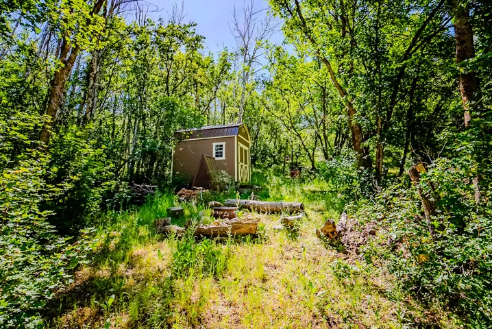 Wooded lot featuring a brown shed with a white window frame and metal roof, surrounded by mature trees and natural ground cover