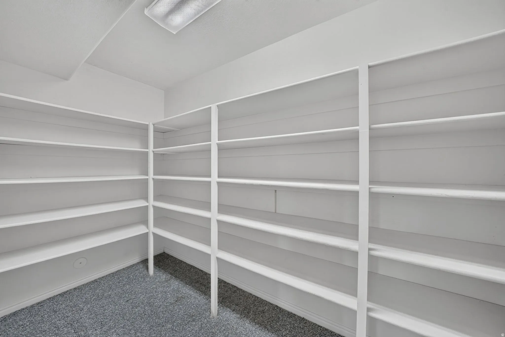 Spacious pantry featuring extensive built-in shelving, durable carpeting, and overhead fluorescent lighting