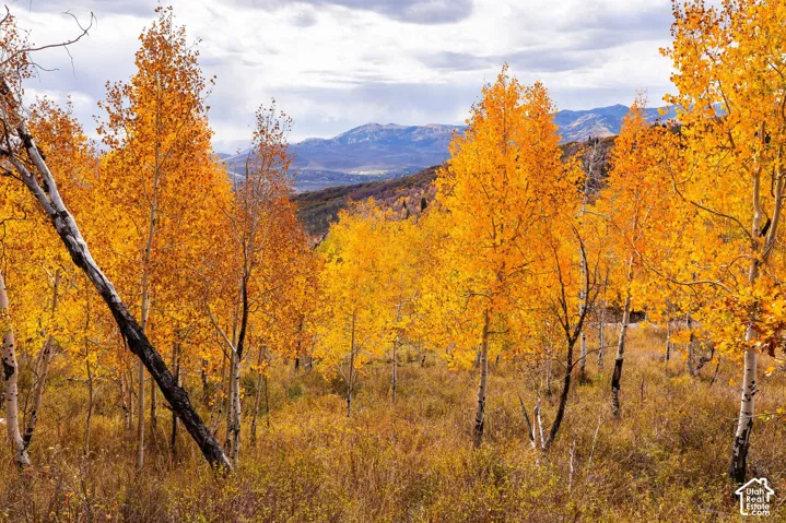 10584 Basin Canyon Rd, Park City, Utah 84098