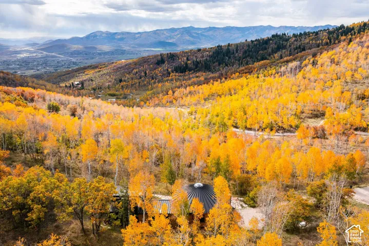 10584 Basin Canyon Rd, Park City, Utah 84098