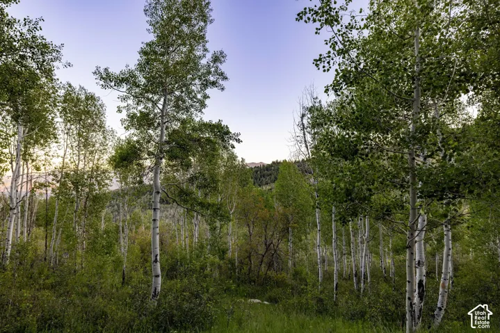 10584 Basin Canyon Rd, Park City, Utah 84098