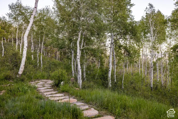 10584 Basin Canyon Rd, Park City, Utah 84098