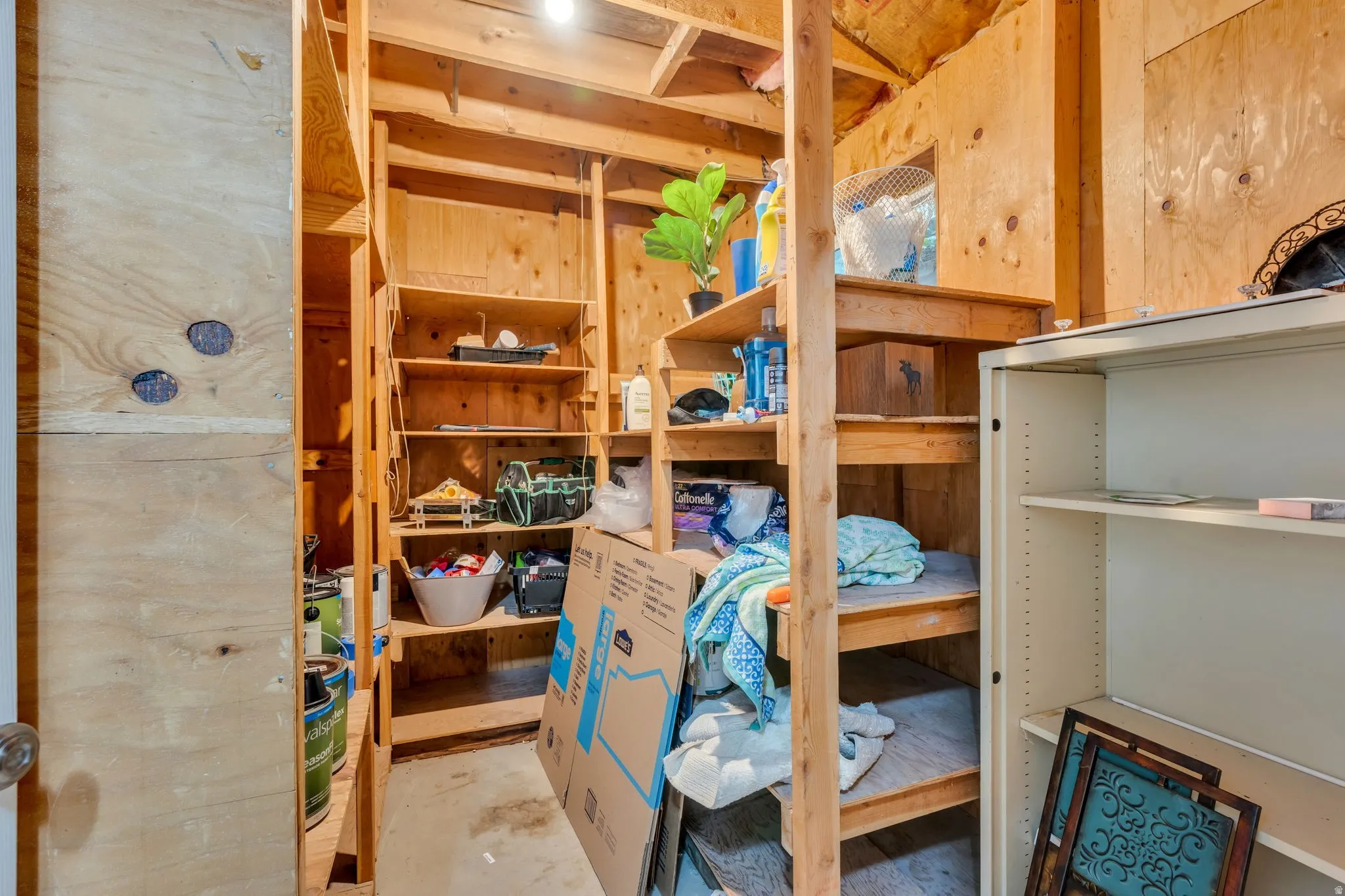 Utility space featuring extensive wood shelving, plywood wall and ceiling finishes, and exposed ceiling joists