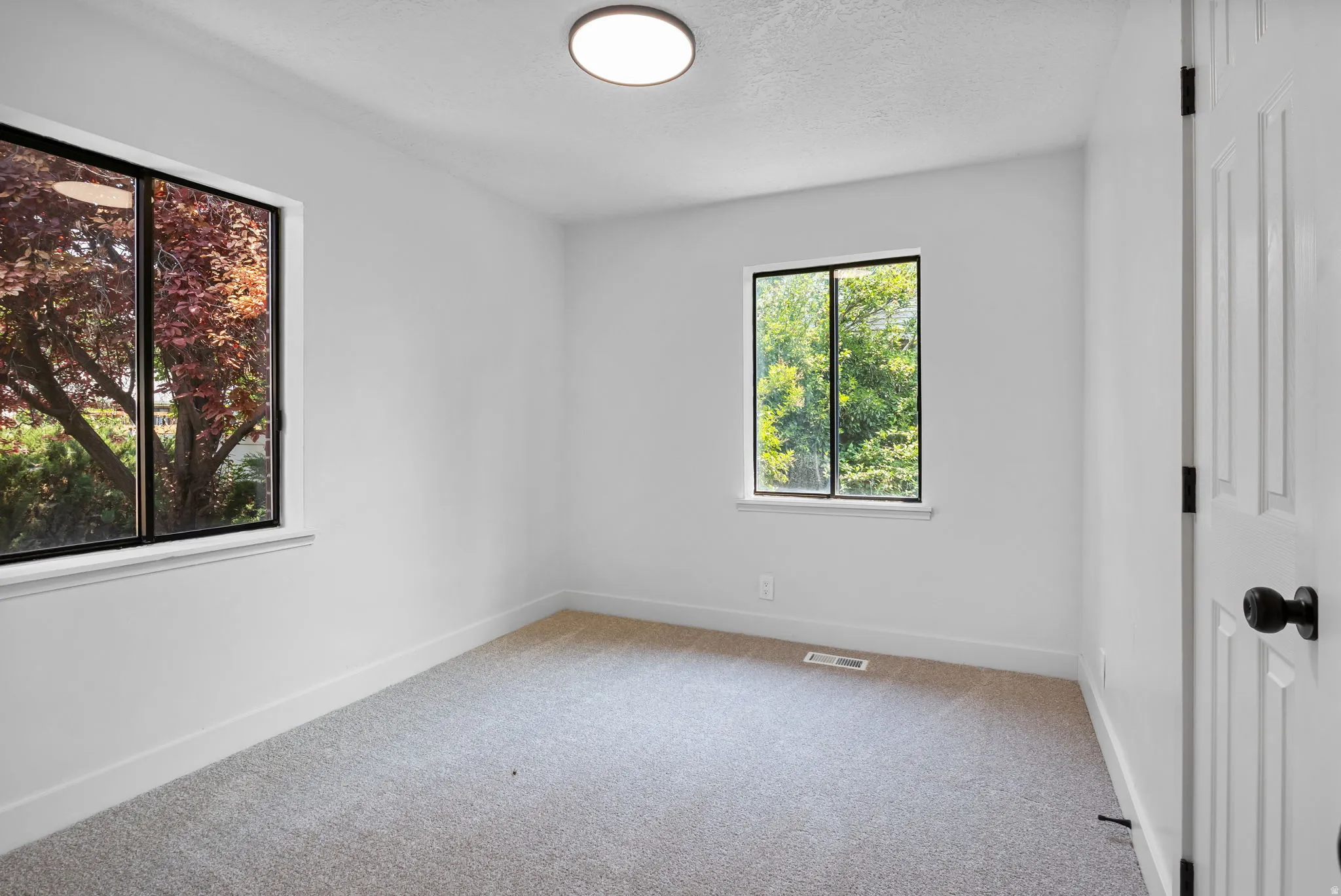 Bright room with two windows, light gray carpeting, crisp white walls, and a contemporary ceiling light fixture