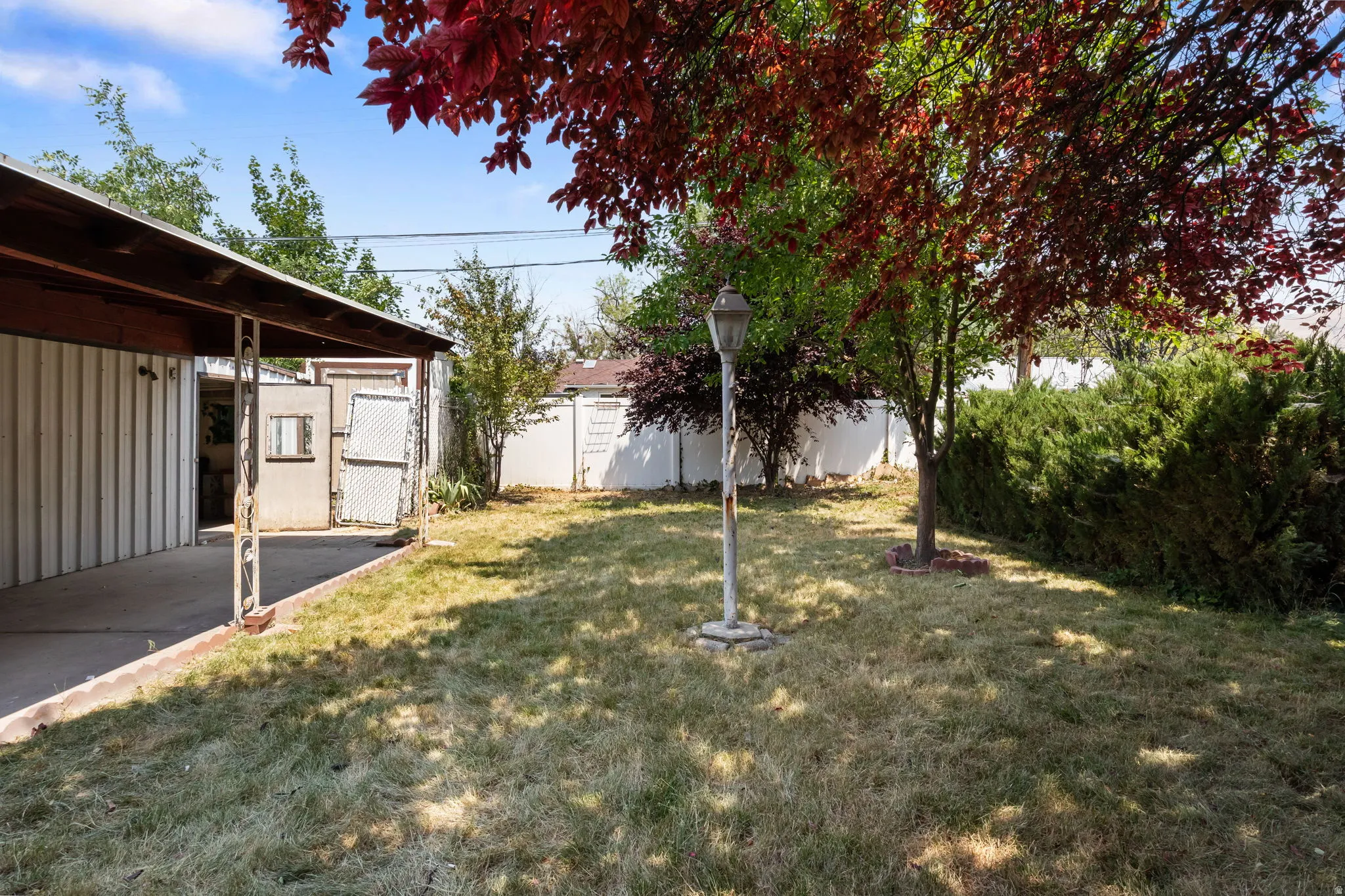 Expansive backyard featuring a covered patio, mature deciduous trees, a white perimeter fence, and established shrubbery