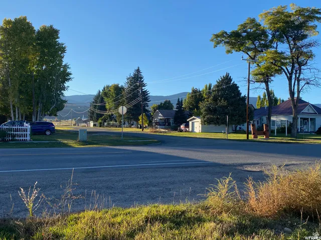 Neighborhood street with mature trees and distant mountain range
