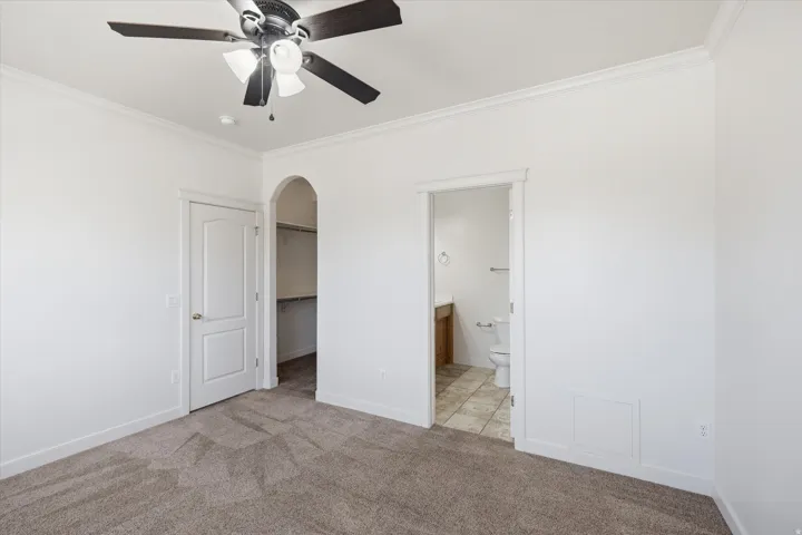 Bright interior room featuring neutral carpet flooring and white walls