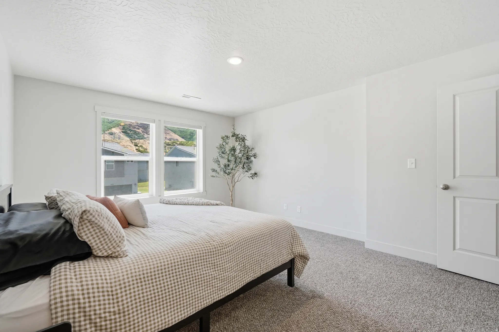 Bright bedroom featuring neutral-toned walls and plush carpeting