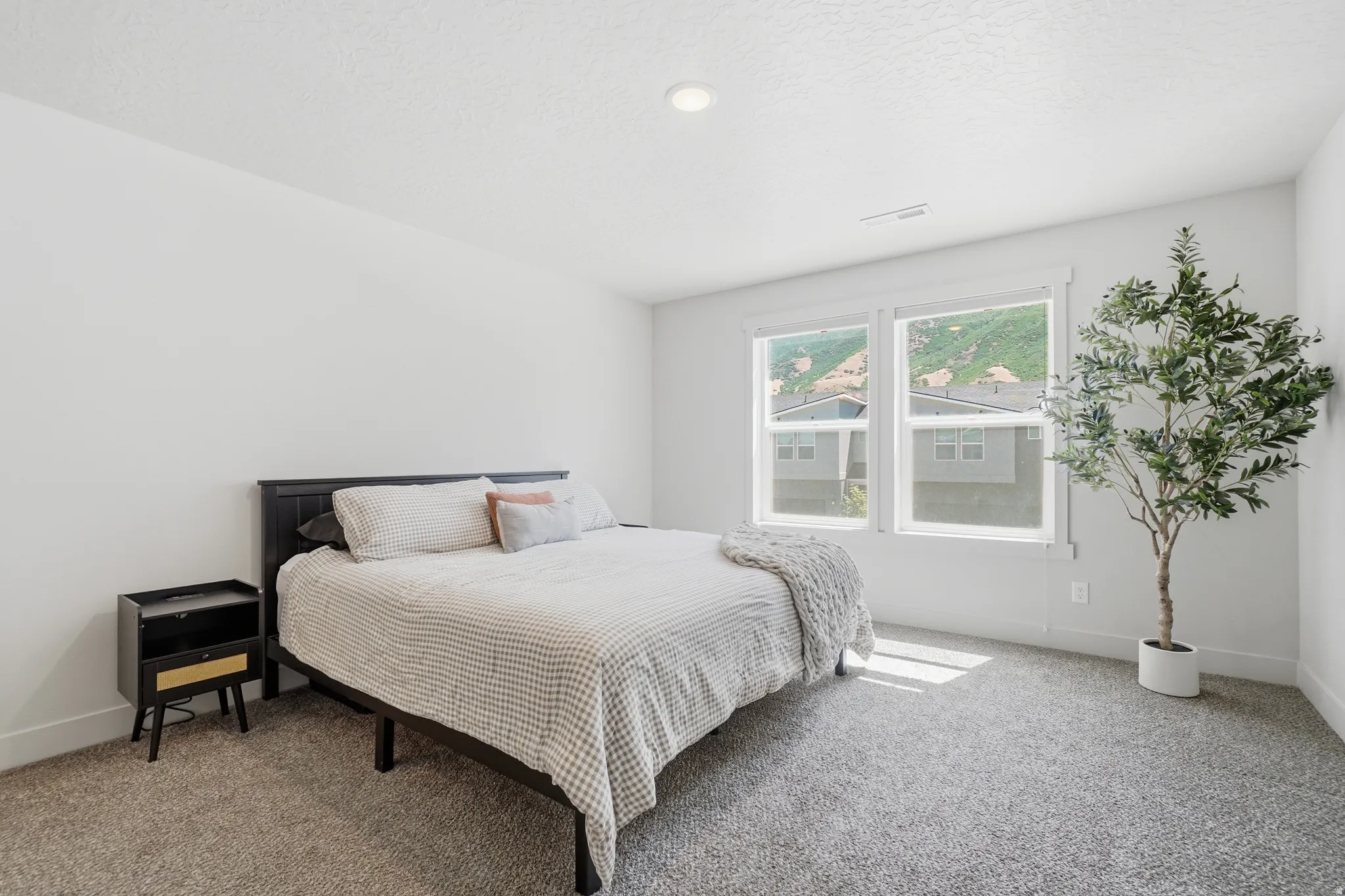 Bright room featuring light gray carpeting and white walls