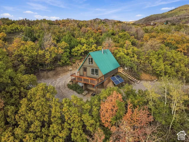 A-frame structure with a green metal roof, wood-finish siding, and an expansive deck