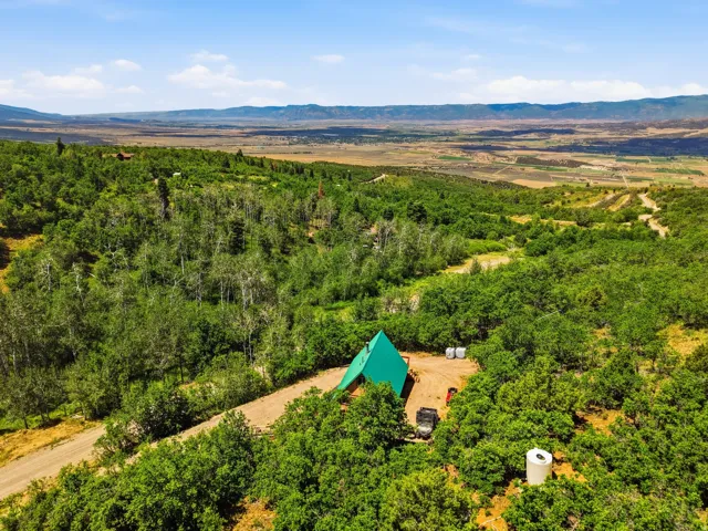 Lush, tree-covered landscape surrounds an A-frame structure with a bright green roof