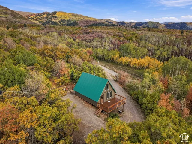 A-frame structure with a vibrant green metal roof