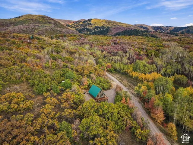 Wood-sided cabin featuring a green metal roof