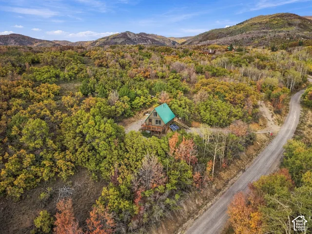 Wood-clad cabin featuring a green roof, solar panels, and a surrounding natural landscape with abundant trees