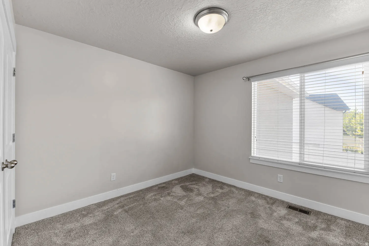 Neutral-toned room featuring a large window with horizontal blinds, gray textured carpet, white baseboards, and a flush-mount ceiling light fixture