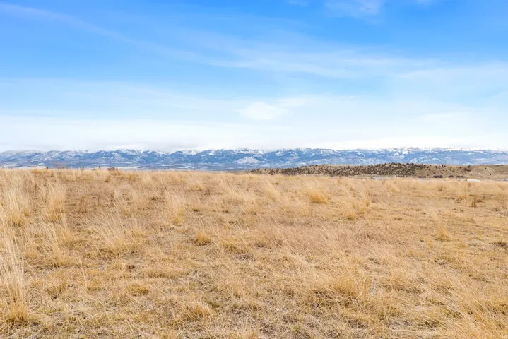Expansive golden fields under a clear blue sky, featuring distant snow-capped mountains and rolling hills