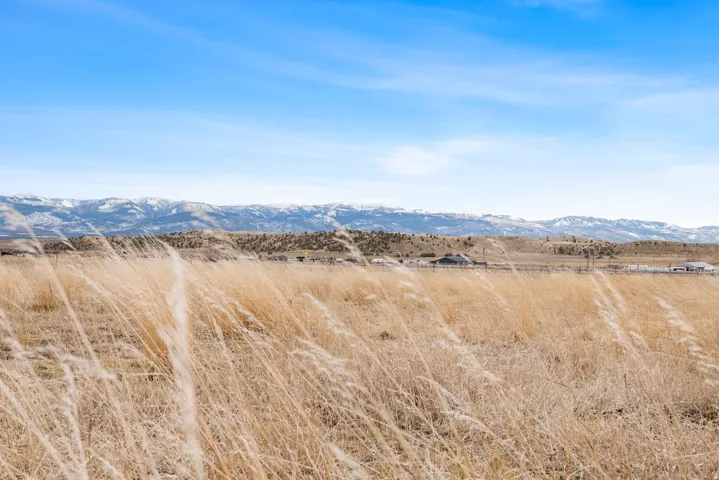 Expansive golden grasslands with distant snow-capped mountains and scattered properties