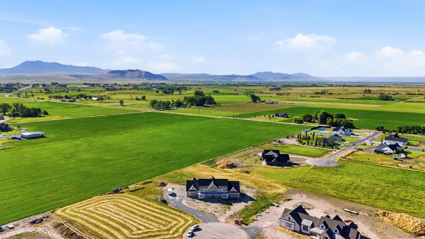 Expansive green fields surrounding newly constructed residential properties