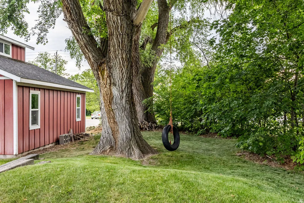 Expansive grassy yard featuring mature trees and lush perimeter foliage