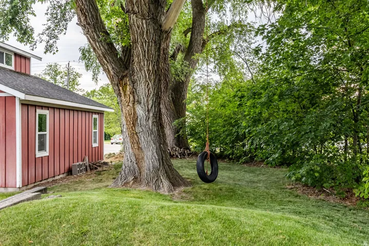 Expansive grassy yard featuring mature trees and lush perimeter foliage