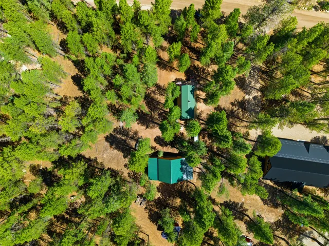 Expansive wooded property featuring multiple structures with green and dark gray roofs, surrounded by mature trees