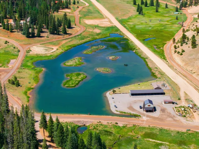 Expansive property featuring a tranquil lake with multiple islands, surrounded by mature evergreen trees and green open spaces