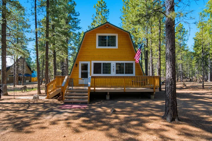 Barn-style cabin with a yellow wood-finish exterior, framed by mature pine trees