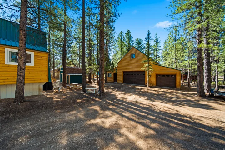 Multiple structures featuring wood siding and metal roofs are set among numerous mature pine trees