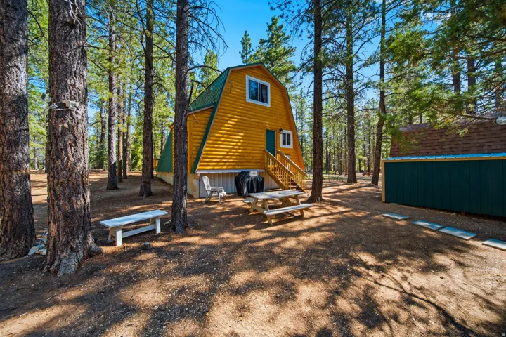 A-frame style residence with wood siding and a green roof