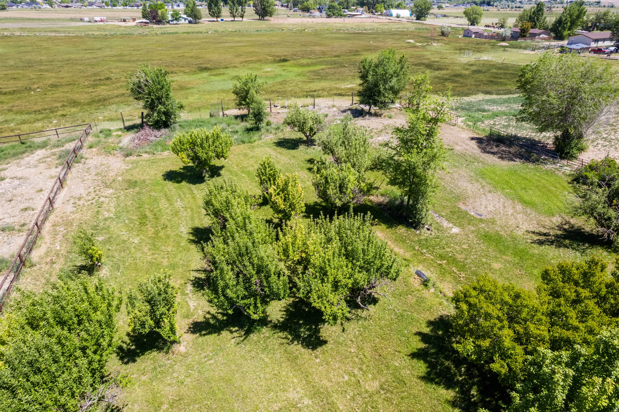 Expansive property featuring a combination of grassy areas and mature trees, with a distant rural landscape