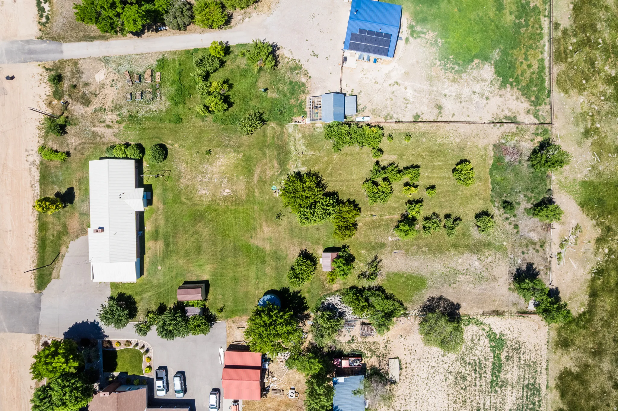 Expansive property featuring multiple structures, mature trees, open green spaces, and a paved driveway