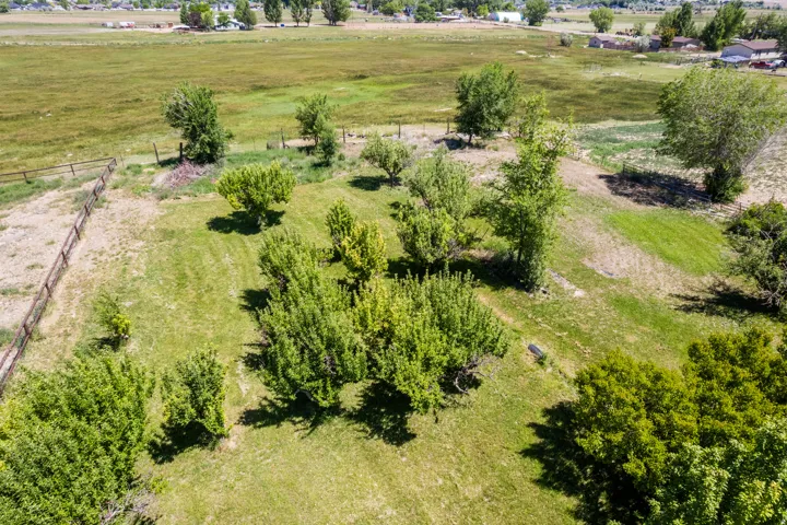 Expansive property featuring a combination of grassy areas and mature trees, with a distant rural landscape